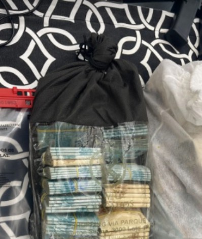 Operação Calígula apreende quase R$ 2 milhões na casa de Adriana Belém - Divulgação