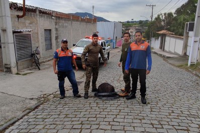 Capivara é resgatada por Guarda Ambiental em Saquarema