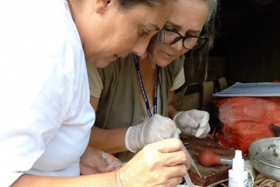 Angra entra em estado de alerta contra a dengue