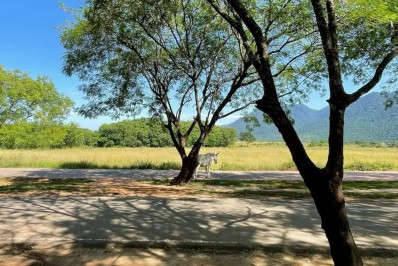 Nilópolis: Parque do Gericinó recebe Festival de Produção Cultural de Economia Solidária (14/05)