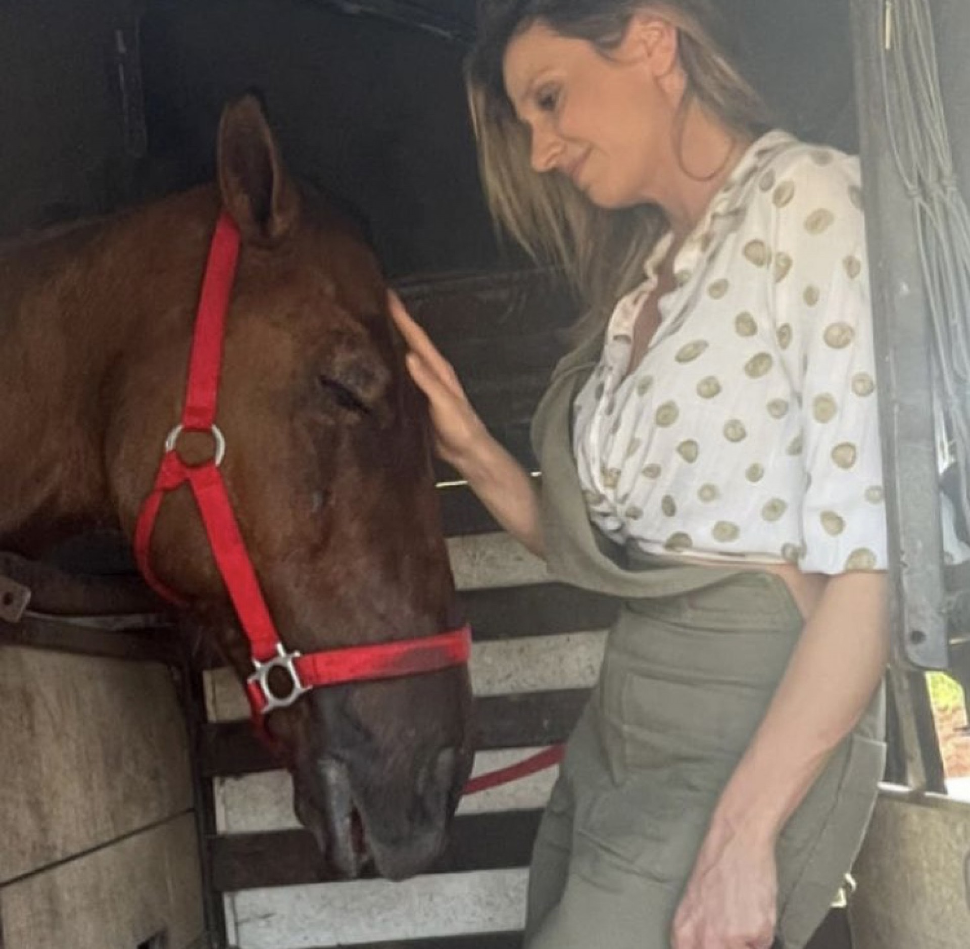 Luisa Mell - Reprodução / Instagram