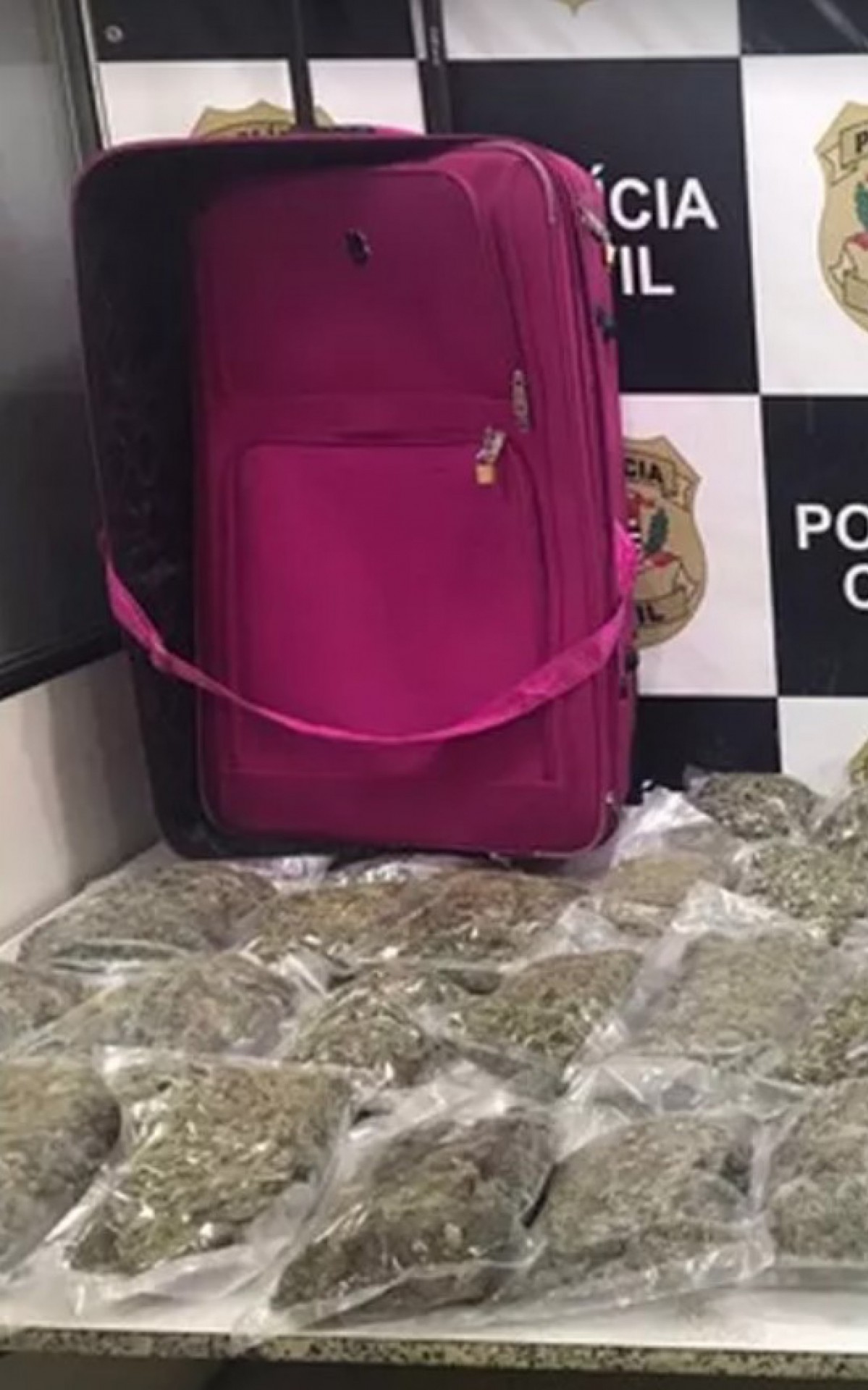 Droga encontrada na mala da suspeita preso na última quarta - Divulgação / Polícia Civil de São Paulo