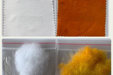 De Anitta a corantes naturais. Universidade propõe despoluir a moda