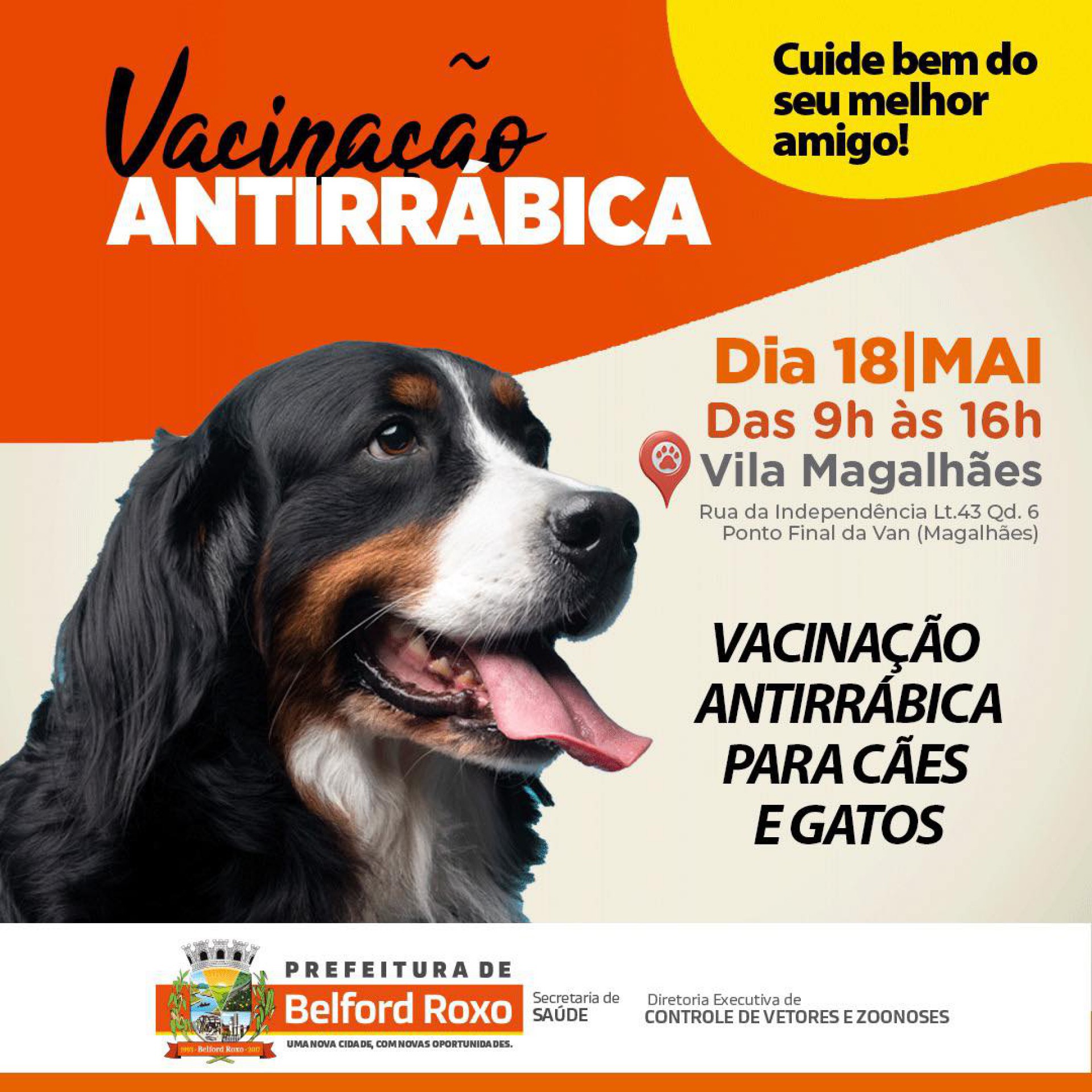 A vacinação acontecerá de 9h às 16h  - Divulgação