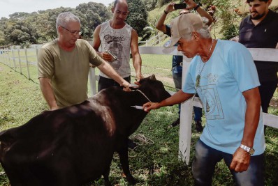Magé realiza campanha de vacinação contra aftosa 2022