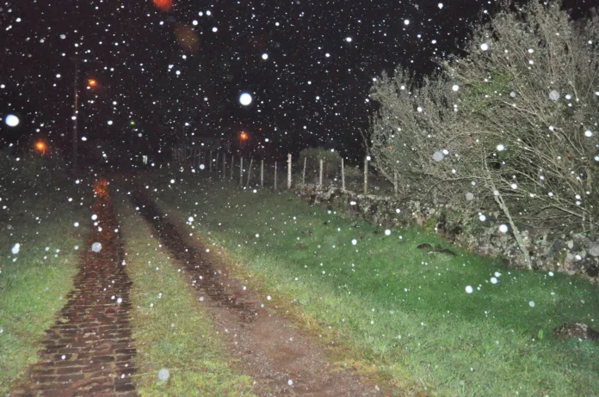 Ruas e estradas foram tomadas pela neve - Reprodução