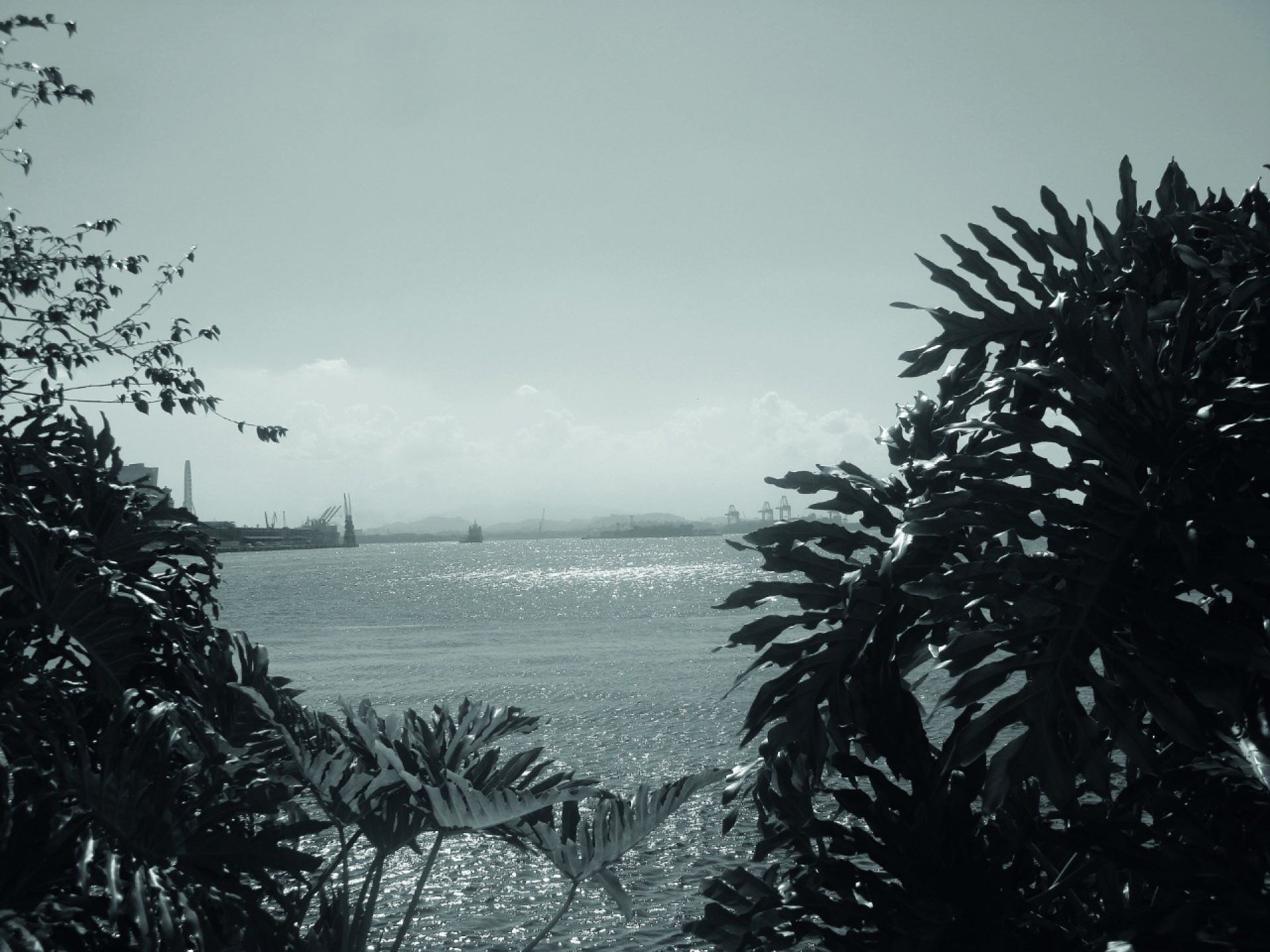 O ex-morador de rua Fabrício Santos fotografou uma paisagem da Baía de Guanabara - Fabrício Santos