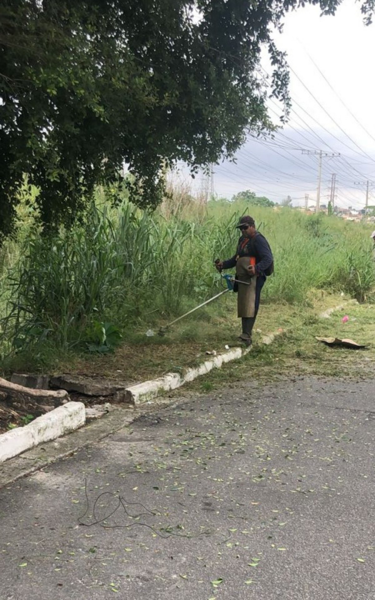 Capina e a limpeza na margem do Rio Dona Eug&ecirc;nia