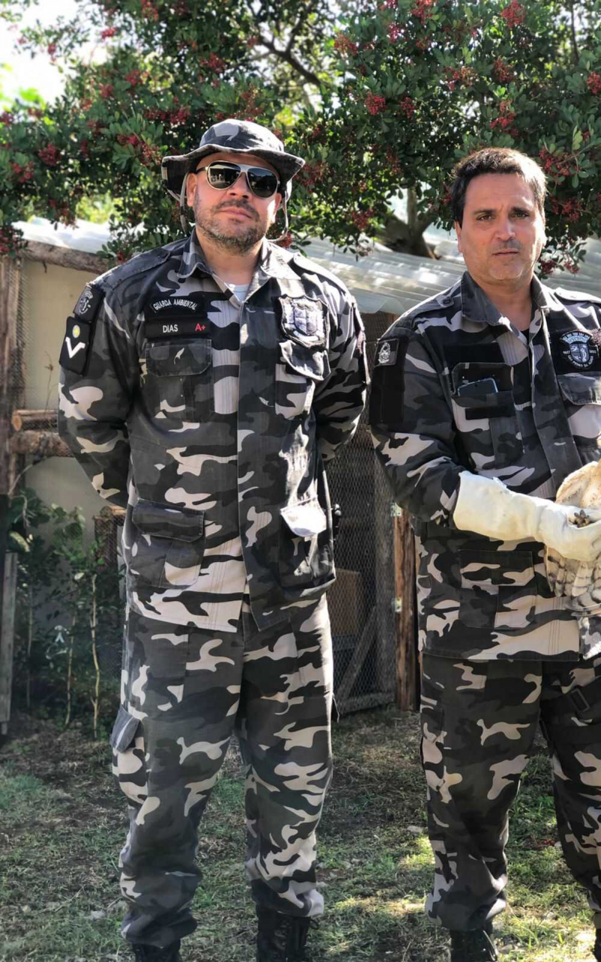 Coruja tyto &eacute; resgatada pela Guarda Ambiental de S&atilde;o Pedro da Aldeia