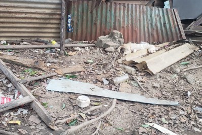 Mulher é presa por maus-tratos a animais em Volta Redonda