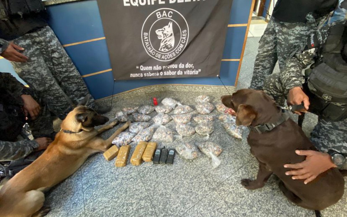 O Batalhão de Ações com Cães apreendeu drogas que ainda não foram contabilizadas - Divulgação