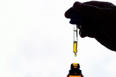 Vereadores voltam a discutir projeto que inclui o Dia da Maconha Medicinal no calendário do Rio 