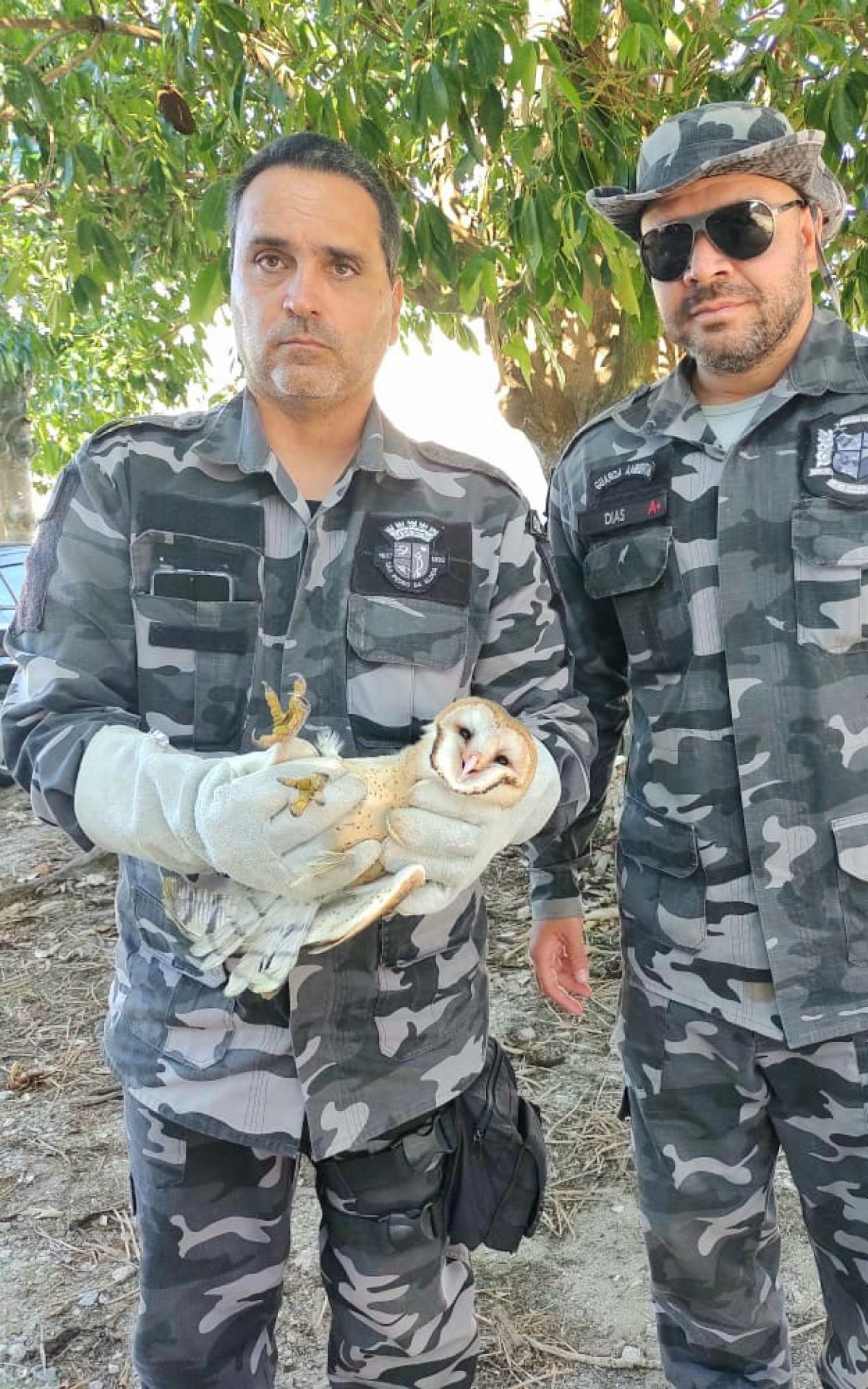 Guarda Ambiental resgata macaco-prego e fragata em S&atilde;o Pedro da Aldeia