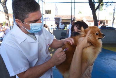 Unidade Básica de Saúde Animal com prioridades para cães e gatos abandonados