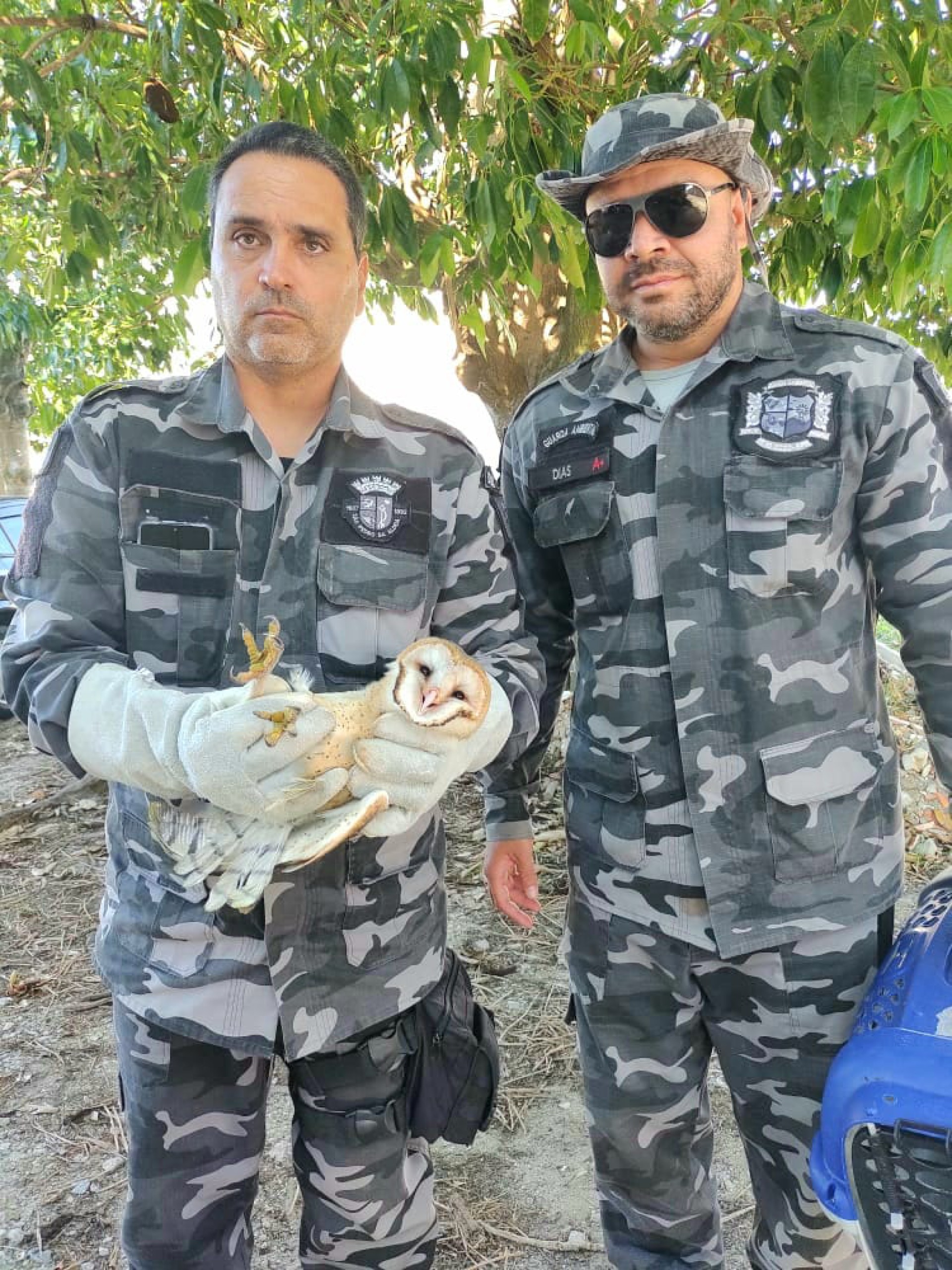 Guarda Ambiental resgata macaco-prego e fragata em São Pedro da