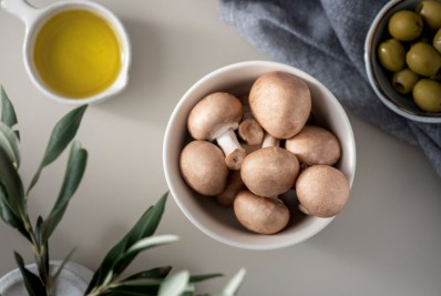 Guapimirim terá curso gratuito de cultivo de cogumelos comestíveis