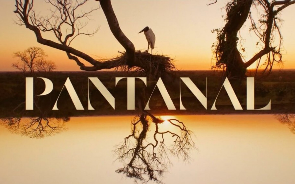 Novela 'Pantanal' registrou recorde de audiência  - Reprodução/Globo