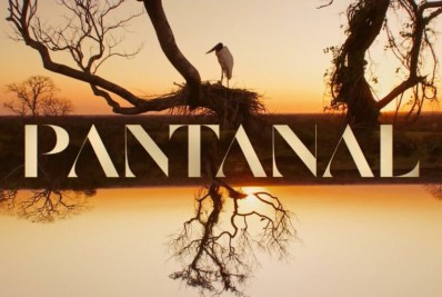 'Pantanal' registra recorde de audiência em São Paulo