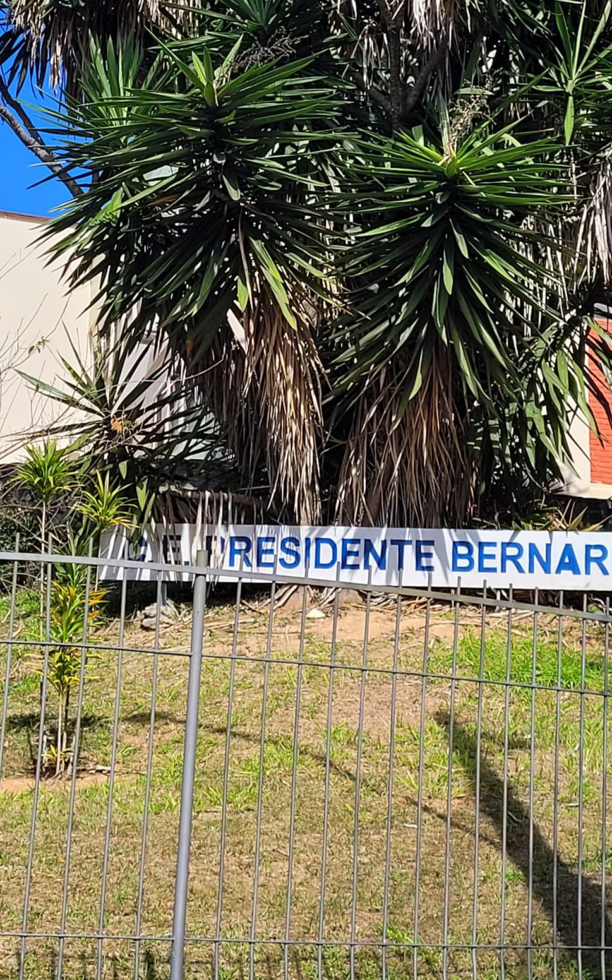 Col&eacute;gio Estadual Presidente Bernardes onde o jovem morto estudava