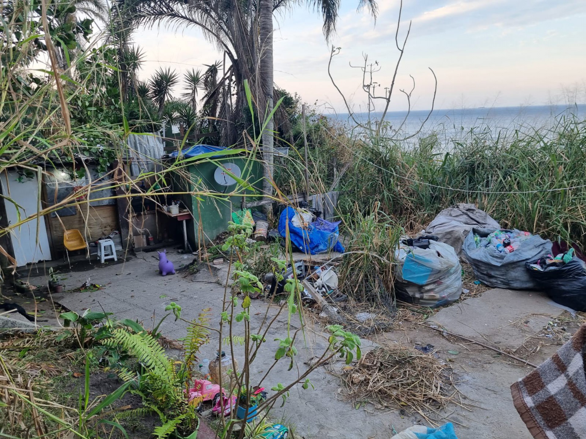 Dois cães foram encontrados em moradia irregular na encosta da Avenida Niemeyer - Divulgação / Subprefeitura da Zona Sul