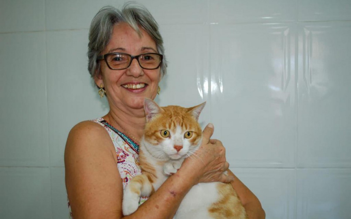 A a&ccedil;&atilde;o de vacina&ccedil;&atilde;o imunizou 200 gatos de protetores