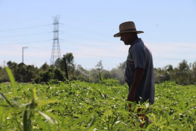 Produtores rurais recebem apoio para que conta de energia elétrica sofra redução de até 30%