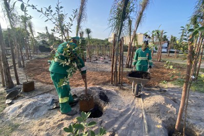 Prefeitura de Niterói cria pomar urbano em Camboinhas