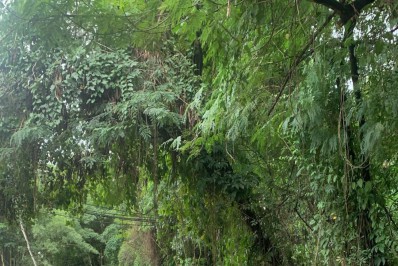 Comlurb realiza limpeza na Estrada do Itanhangá após acidente entre dois ônibus