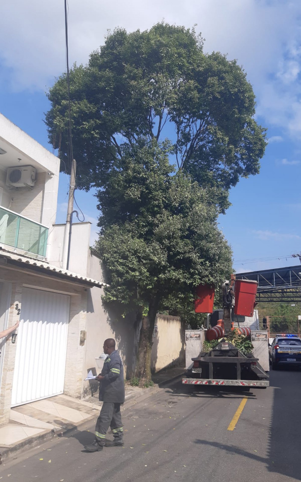 Equipes também orientam as podas de 513 árvores, beneficiando 65 bairros de Volta Redonda - Divulgação
