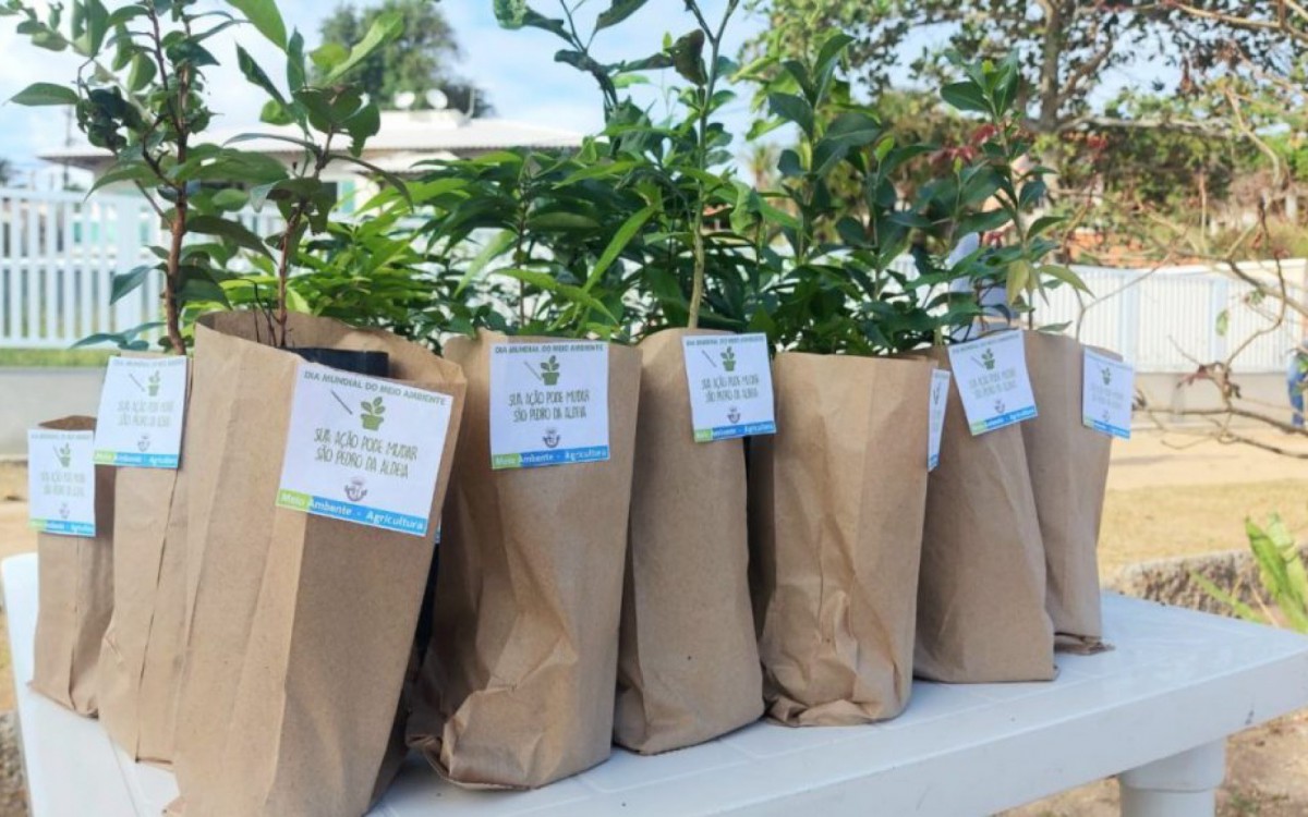 Praia do Arrast&atilde;o ganha placa de preserva&ccedil;&atilde;o dos cavalos-marinhos em S&atilde;o Pedro da Aldeia
