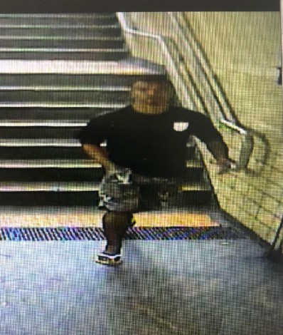 Renato Diogo Rangel Meirelles - Divulga&ccedil;&atilde;o