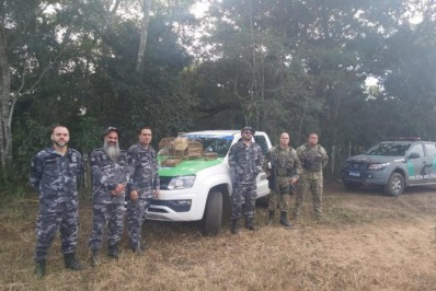 Guarda Ambiental combate caça ilegal de pássaros em São Pedro da Aldeia