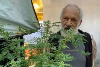 Ator mostra plantação de maconha para 'uso próprio'