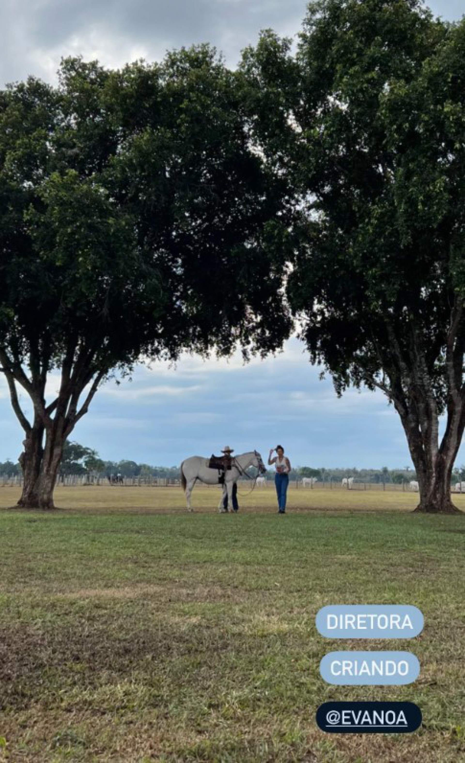 José Loreto mostra bastidores de 'Pantanal' - Reprodução/Instagram