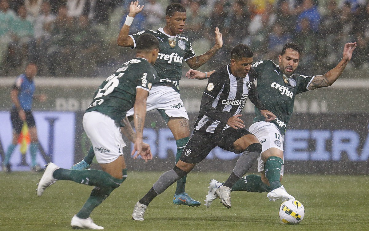 Partida entre Palmeiras x Botafogo, válido pela décima rodada do Campeonato Brasileiro, realizado na Allianz Parque, zona oeste de São Paulo. Na noite desta quinta-feira (09). - Vitor Silva/Botafogo