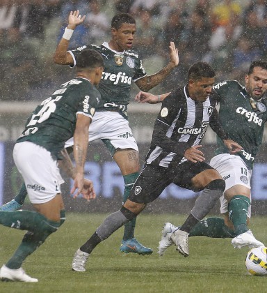 Palmeiras sofre derrota para o Botafogo no Allianz Parque pelo Brasileirão  – Palmeiras