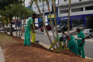 Obras no Coelho incluem paisagismo às margens da RJ-104