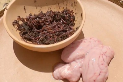 Vídeo: Participantes do 'No Limite' farão prova da comida nesta terça-feira