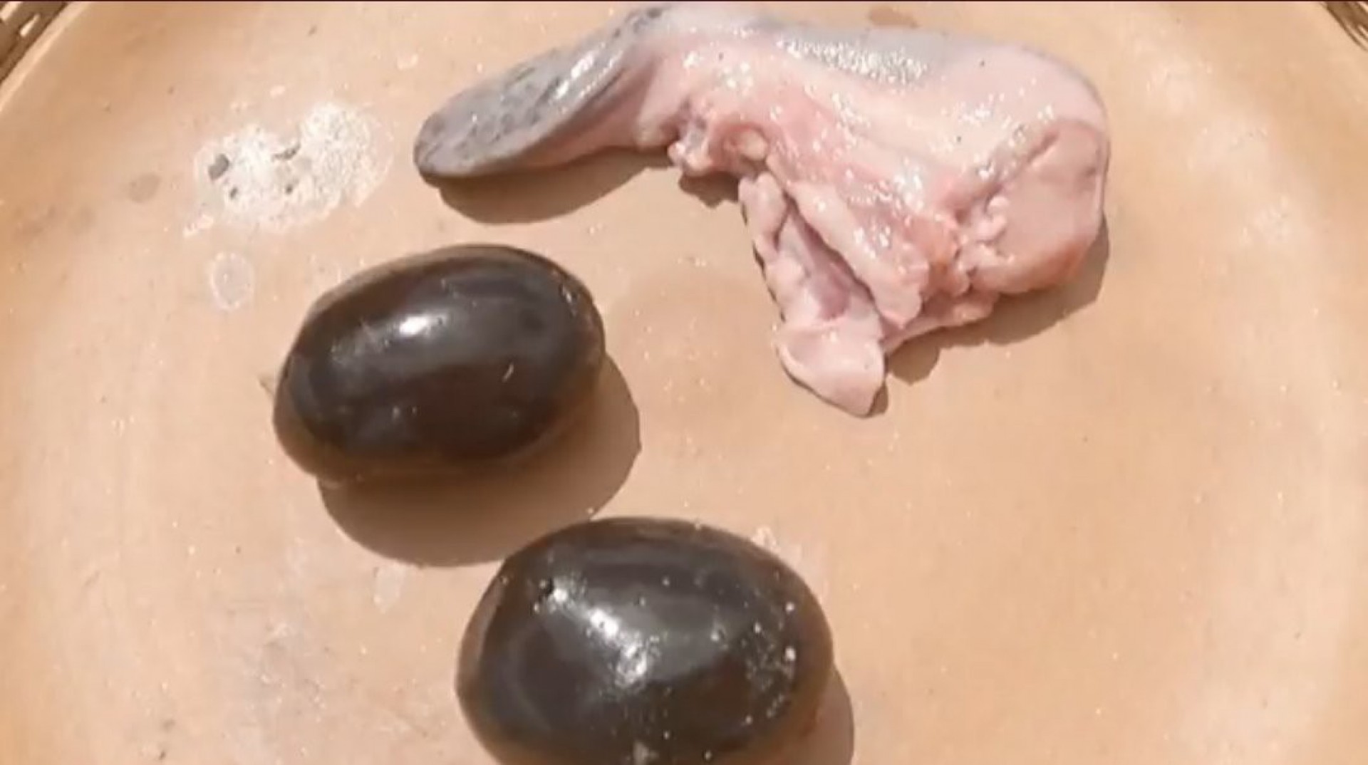 Participantes do 'No Limite' farão prova da comida nesta terça-feira - Reprodução