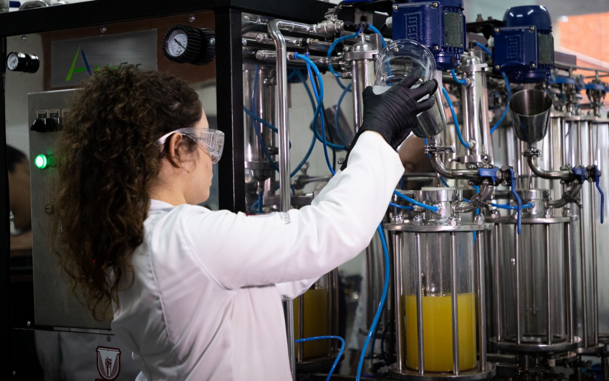 A&ccedil;&atilde;o experimental aconteceu ontem (16)