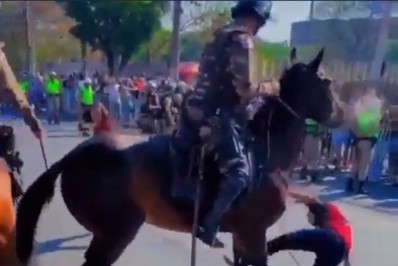 Vídeo: Cavalo da Polícia Militar derruba torcedor do Flamengo nos arredores do Mineirão