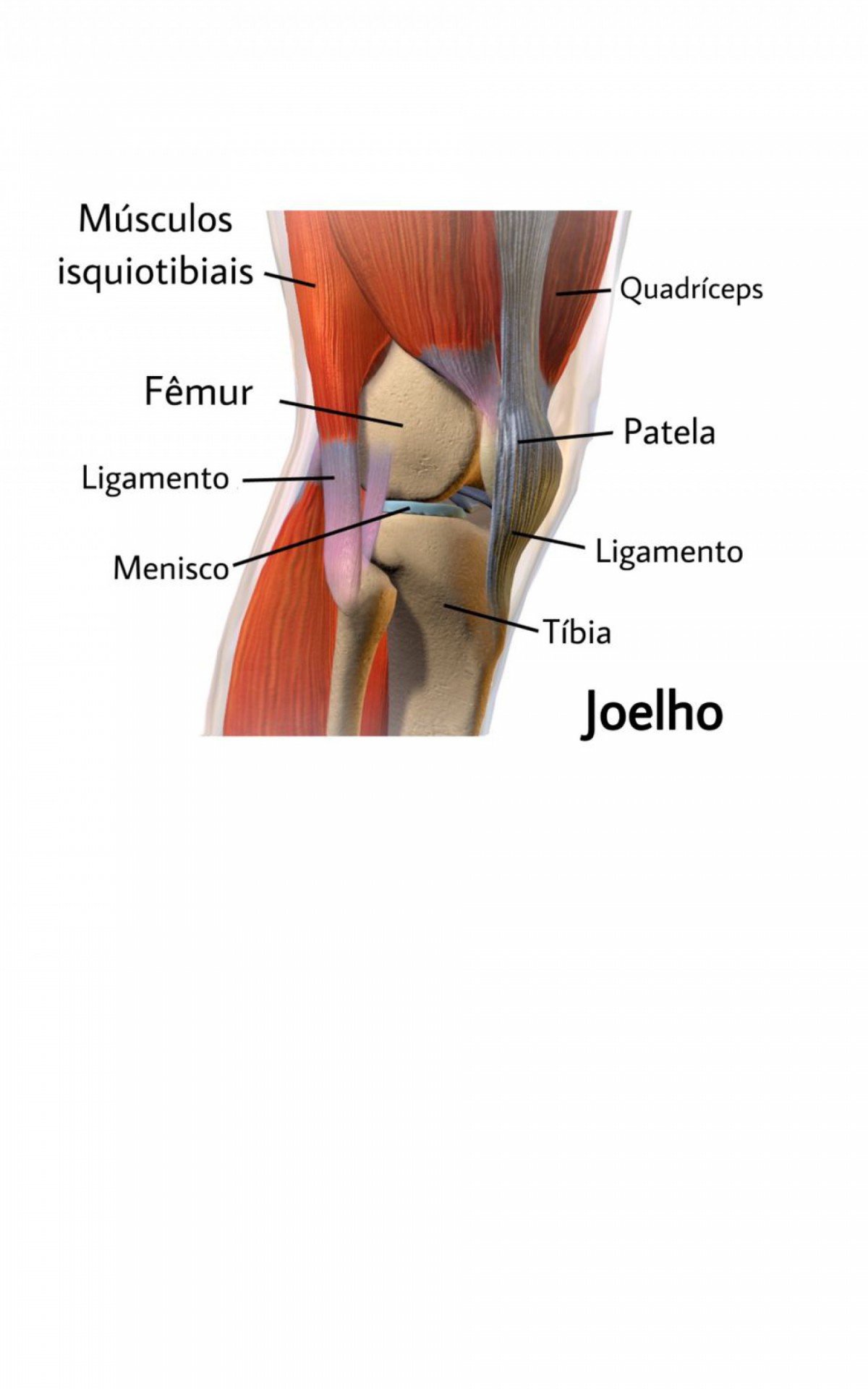 Bruno Henrique realiza cirurgia para reconstrução de ligamento do