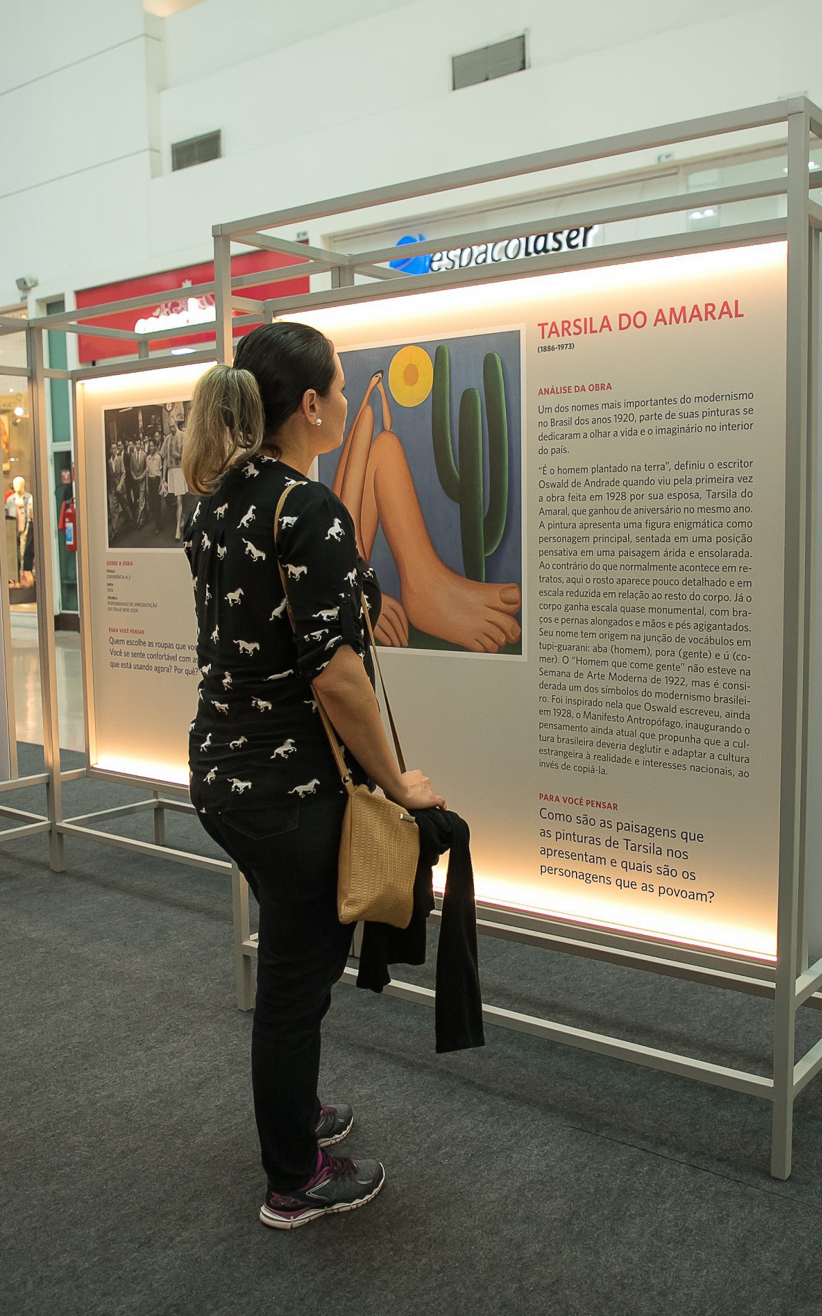 Exposi&ccedil;&atilde;o Caminhos da Arte Moderna Brasileira no Shopping Grande Rio