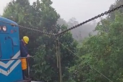 Vaca prende a pata nos trilhos e interrompe circulação de trem na extensão Guapimirim