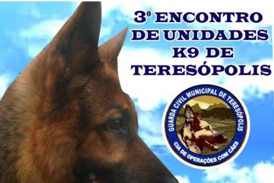 Cães participam de treinamento para área de segurança pública
