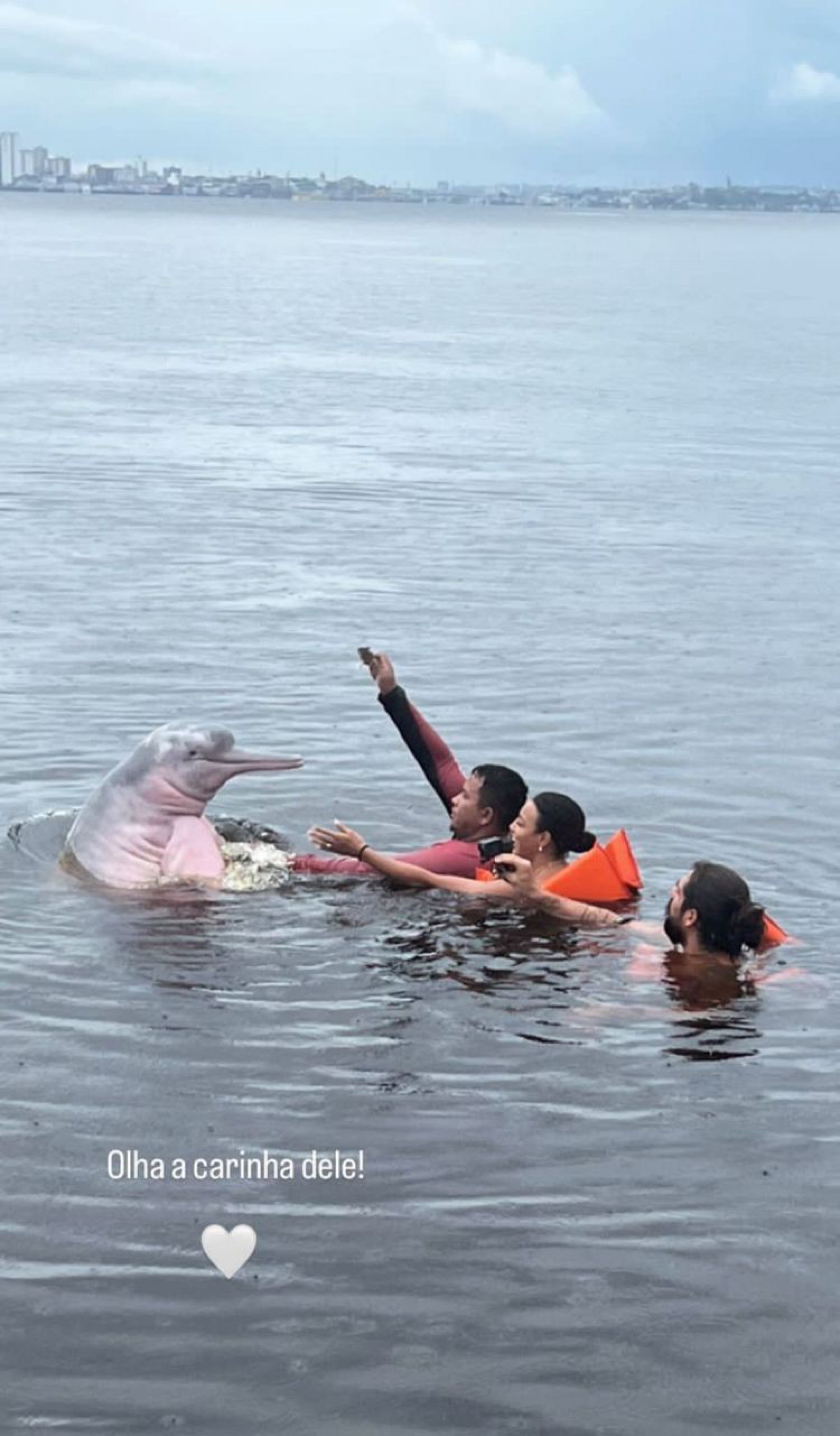 Sheron Menezzes nada com botos no Rio Negro - Reprodução/Instagram