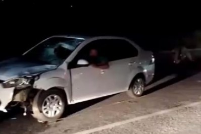 Cavalo solto na pista causa acidente na RJ-102, entre Cabo Frio e Arraial do Cabo