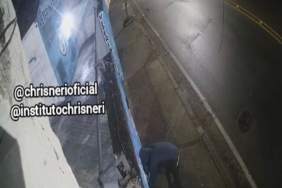 Quatro cachorrinhos são abandonados no Lins de Vasconcelos