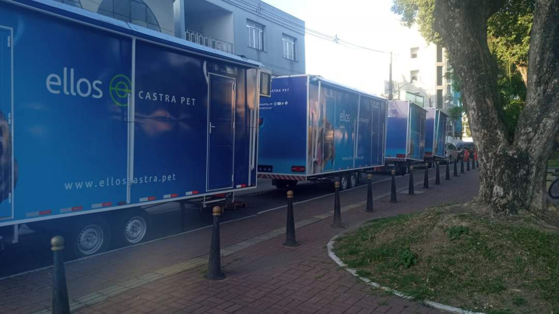 A ONG Ellos Castra Pet est&aacute; em S&atilde;o Jo&atilde;o de Meriti, na Avenida Deputado Jos&eacute; da Costa Fran&ccedil;a (ao lado do antigo Col&eacute;gio Fluminense) - Divulga&ccedil;&atilde;o