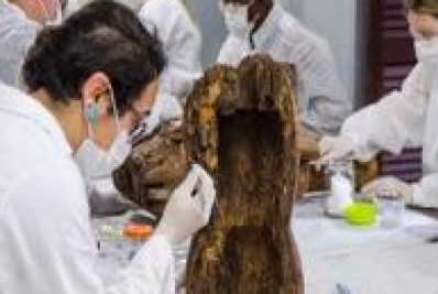 Estágio em Bom Jardim para universitários